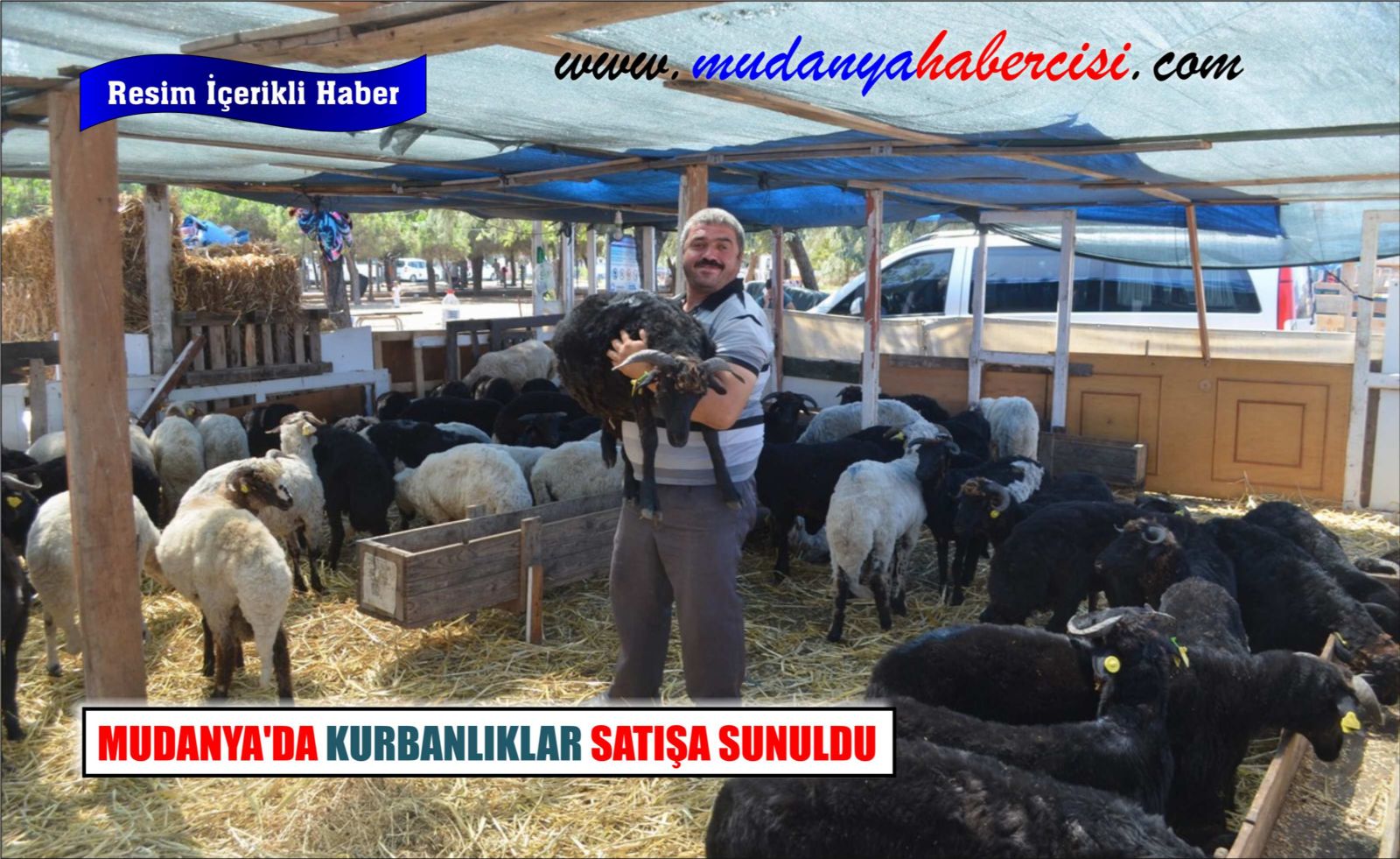 MUDANYADA KURBANLIKLAR SATIA SUNULDU