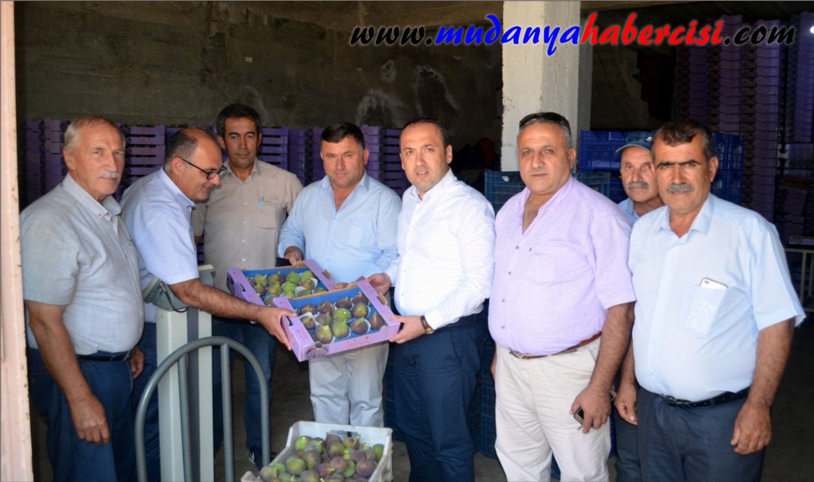 KAYAKAM SZER KARA NCR HASADINA START VERD
