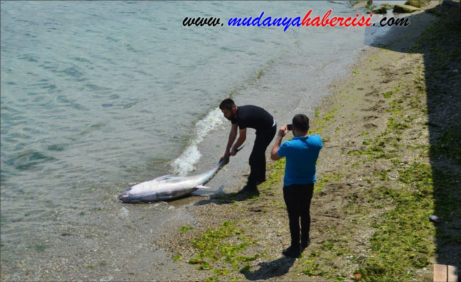 90 KLOLUK ORKNOS MUDANYA SAHLNE VURDU