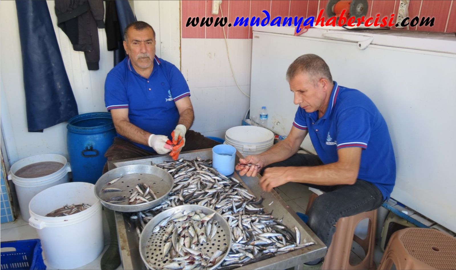 BALIK BOLLATI, FYATLAR HALA YKSEK