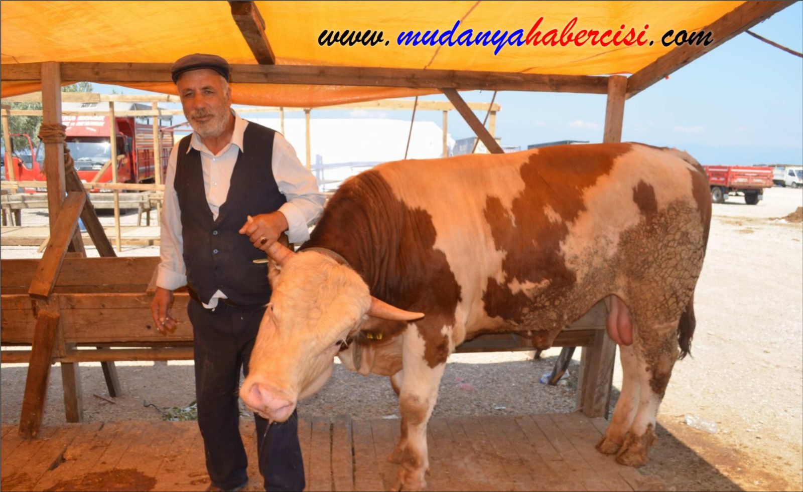 MUDANYADA KURBANLIKLAR SATIA SUNULDU
