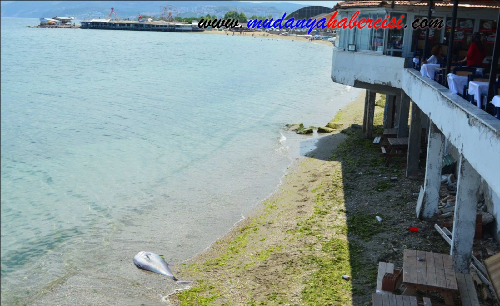 90 KLOLUK ORKNOS MUDANYA SAHLNE VURDU