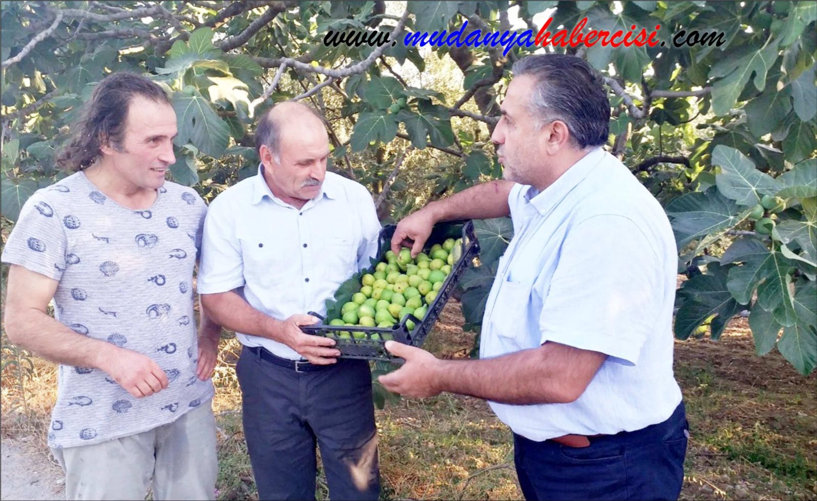 BEYAZ NCRDE HASAT ZAMANI