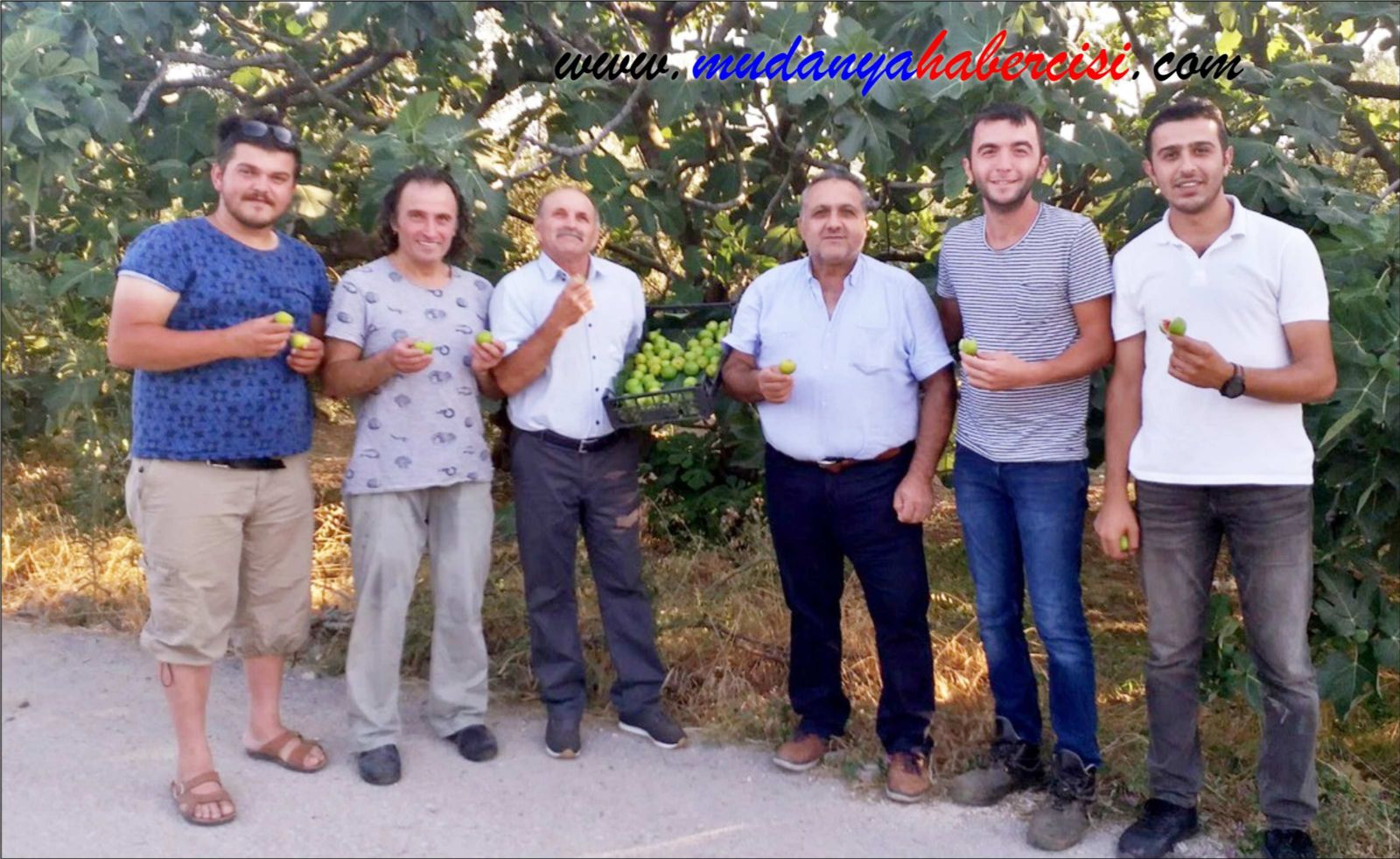 BEYAZ NCRDE HASAT ZAMANI