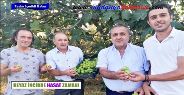 BEYAZ NCRDE HASAT ZAMANI