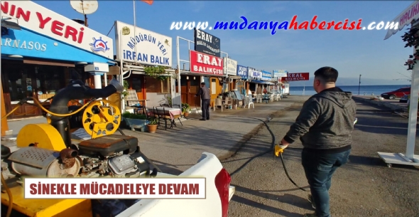 SNEKLE MCADELEYE DEVAM