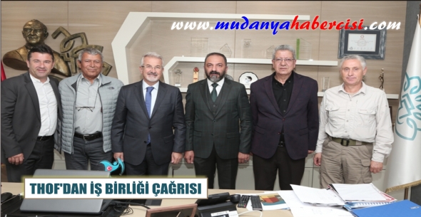 THOFDAN  BRL ARISI
